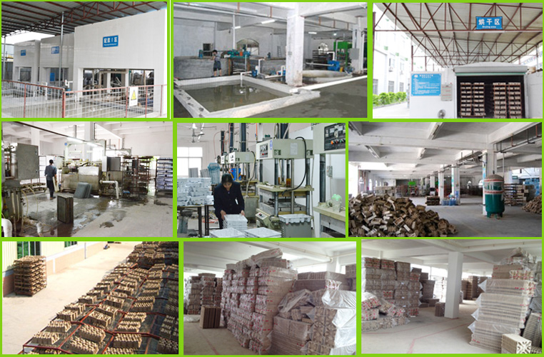 Pulp packaging Factory