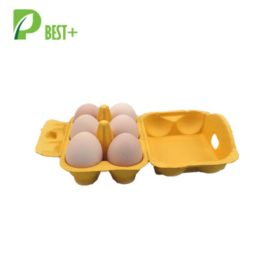 Pulp Eggs Cartons