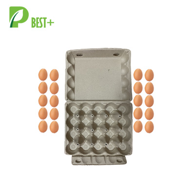 20 Holes Egg Tray 221