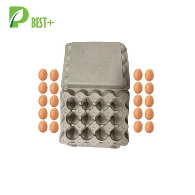 20 cells egg carton Factory