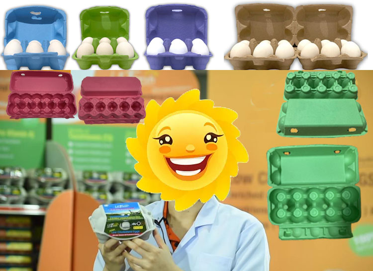 Eco Egg Carton Factory