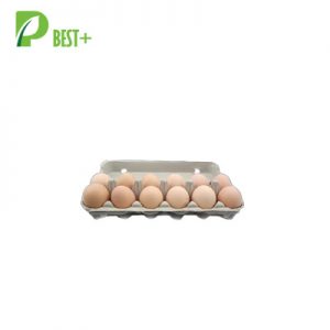 Eurepe Egg Boxes factory