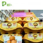 Egg box manufacture