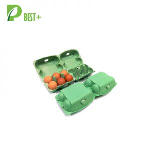 Pulp Green Egg cartons Box 173