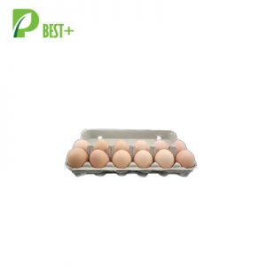 12 Eggs Pulp Cartons Boxes 153