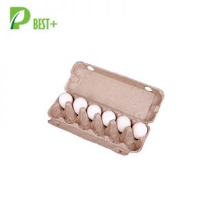 12 Holes Pulp Eggs Tray 154