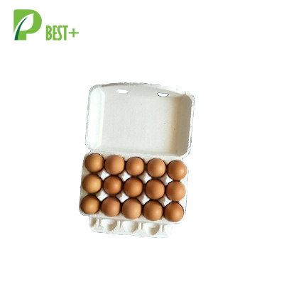Darisha Printed Natural Pulp Paper Jumbo Egg Cartons (Set of 15) Prep & Savour
