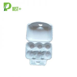 6 Eggs Pulp Cartons Tray 147