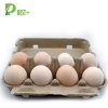 8 Holes Eggs Pulp Cartons143