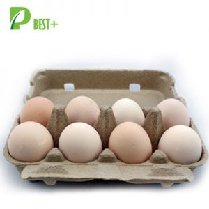 8 Holes Paper Egg Carton 155