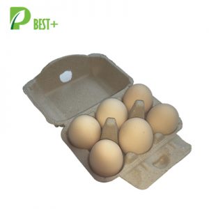 6 Egg Pulp Carton 111