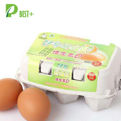 Paper Pulp Egg Carton 117
