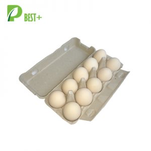 10 Holes Paper Egg Carton 121