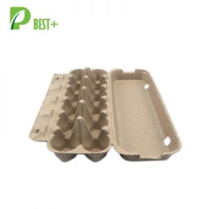 12 holes Pulp Egg Carton 124