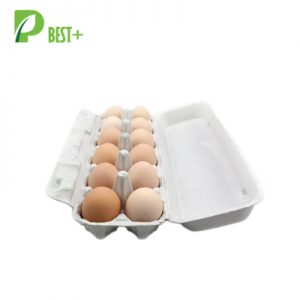 12 Cells Pulp Egg Carton 125