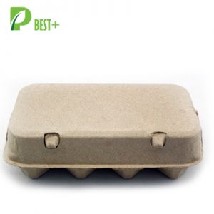 Pulp 8 egg Carton 156