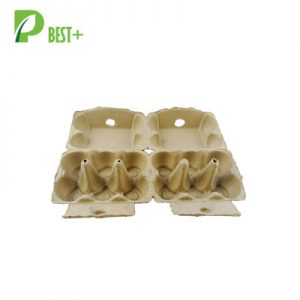 pulp 2x6 eggs cartons 135