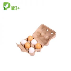 6 Eggs Pulp Cartons Box 187