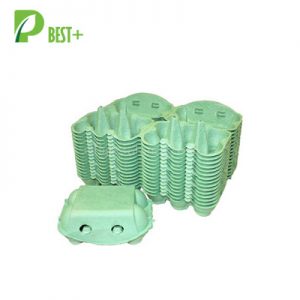 Green 6 Egg Paper Carton 179