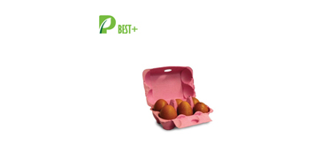 Egg Box Factory Price