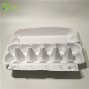 12 Holes Egg Carton 202