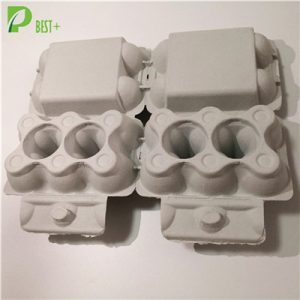 2x6 Holes Egg Carton 198