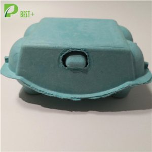 6 Cells Pulp Egg Box 204