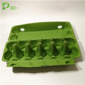 Green Pulp Egg Box 217