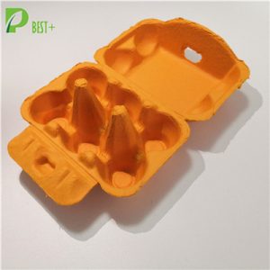 Orange Pulp Egg Pack 216