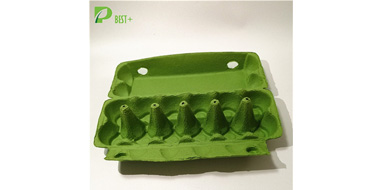 GREEN PULP EGG Cartons