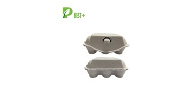 Pulp Egg Carton Box