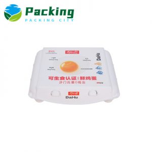 20 Cells EGG CARTON FACTORY America Egg Packs Wholesale import