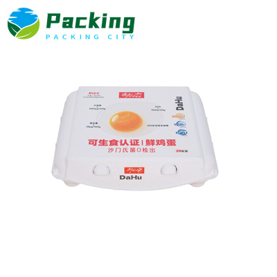 20 Cells EGG CARTON FACTORY 20 Cells EGG CARTON FACTORY America Egg Packs Wholesale import