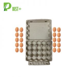 20 Holes Egg Tray 221