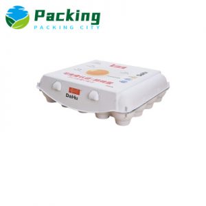 20 cell Print Egg Carton 20 PACKS Egg Packaging Factory