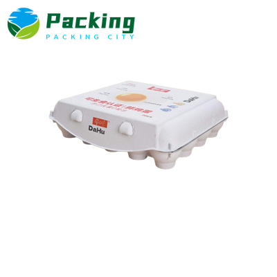 20 cell Print Egg Carton 20 cell Print Egg Carton 20 PACKS Egg Packaging Factory