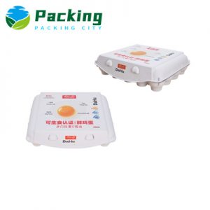 20 cells Custom Print Egg Carton Factory Eco Egg Packs Europe Manufacturer