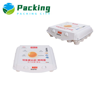 20 cells Custom Print Egg Carton 20 cells Custom Print Egg Carton Factory Eco Egg Packs Europe Manufacturer