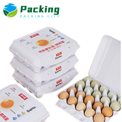 20 cells Paper Egg Carton Manufacturer