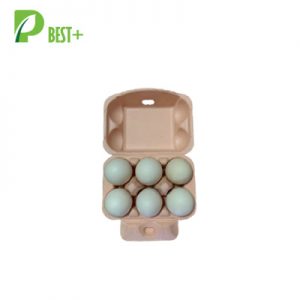 6 Cells Egg Trays 223