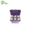 Purple Egg Carton Factory