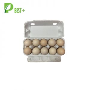 Grey Pulp Egg Tray 234