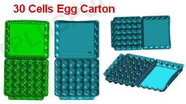 30 Cells Pulp Egg Carton Factory