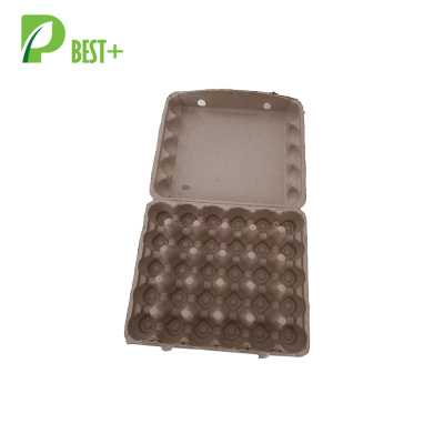 Best Plus New Design 30 cells Egg Boxes