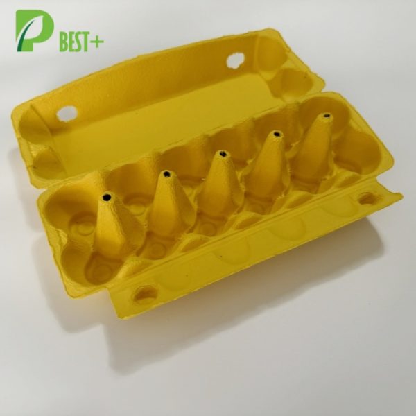 12 cells egg boxes