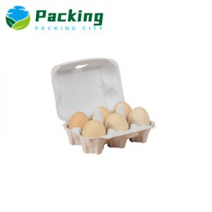 6 cells Print Pulp Egg Carton Factory