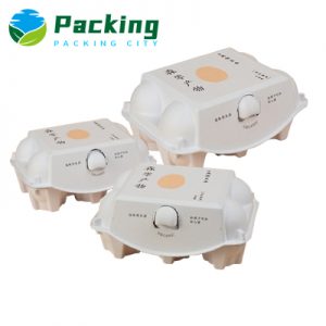 6 cells Print Pulp Egg Carton Factory