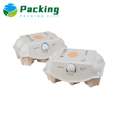 6 cells Print Pulp Egg Carton Factory 6 cells Print Pulp Egg Carton Factory