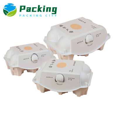 6 cells Print Pulp Egg Carton 6 cells Print Pulp Egg Carton Factory