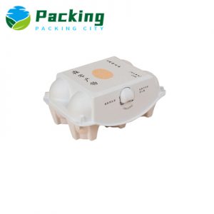 6 cells Pulp Egg Carton Factory